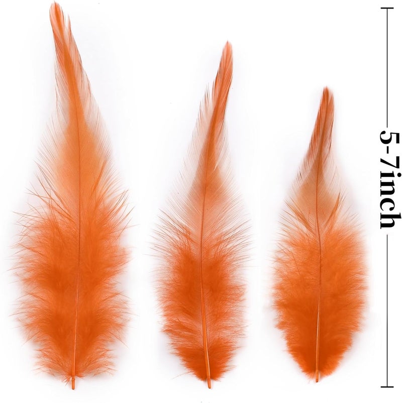 Holmgren Orange Crafts Rooster Feathers - 200pcs 5-7inch Rooster Feathers for Hats, Jewelry Accessories and Holiday Party Decoration (Orange) - Image 3